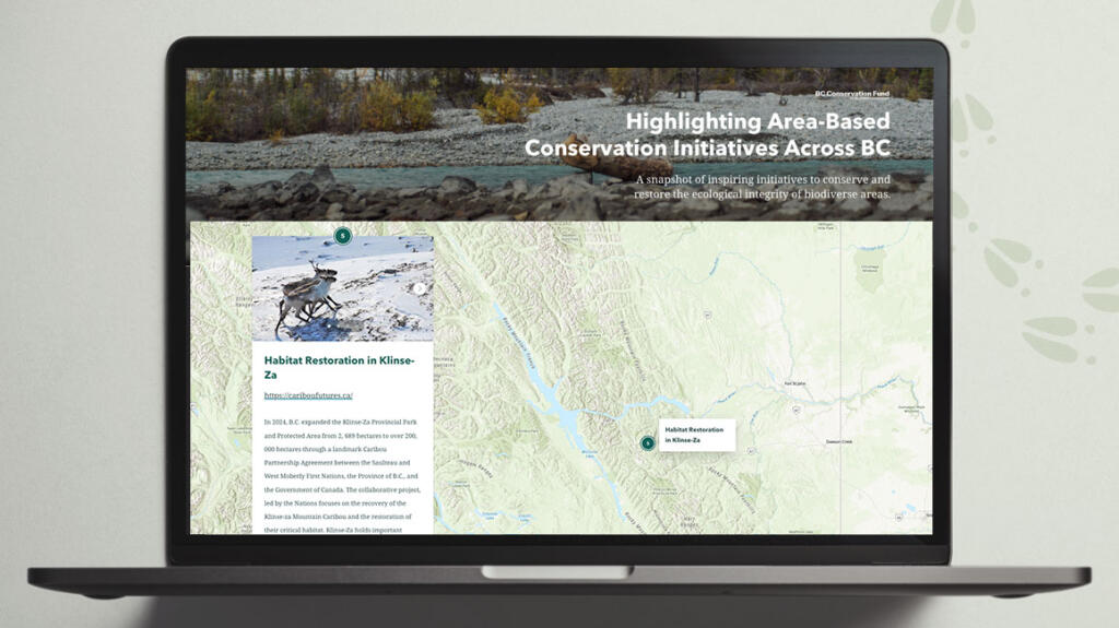 computer showing the Learning by Nature interactive map
