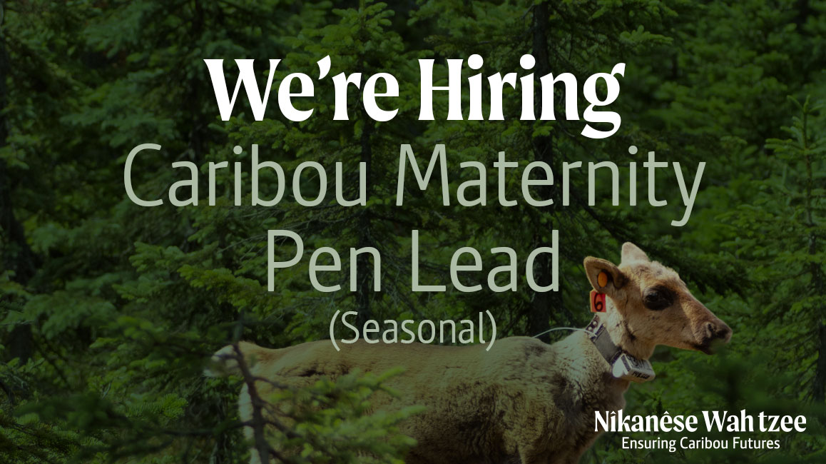hiring pen lead